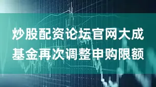炒股配资论坛官网大成基金再次调整申购限额