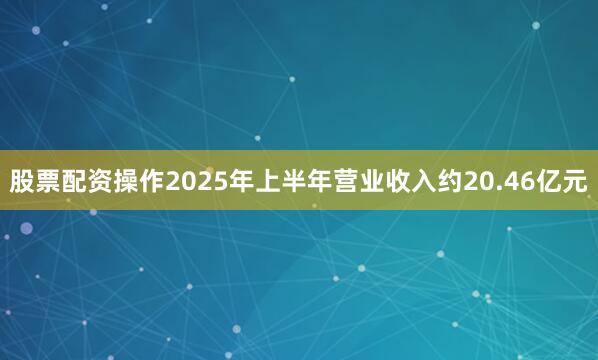 股票配资操作2025年上半年营业收入约20.46亿元