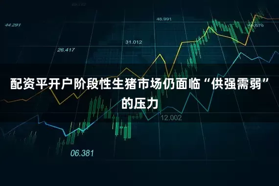 配资平开户阶段性生猪市场仍面临“供强需弱”的压力