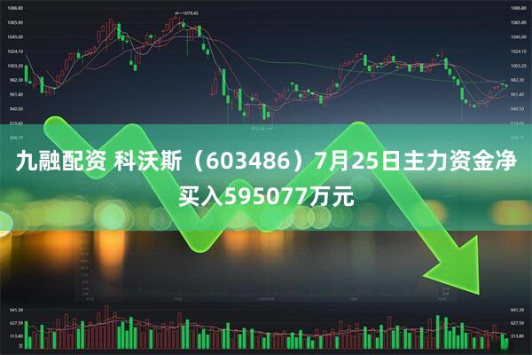 九融配资 科沃斯(603486)7月25日主力资金净买入595077万元
